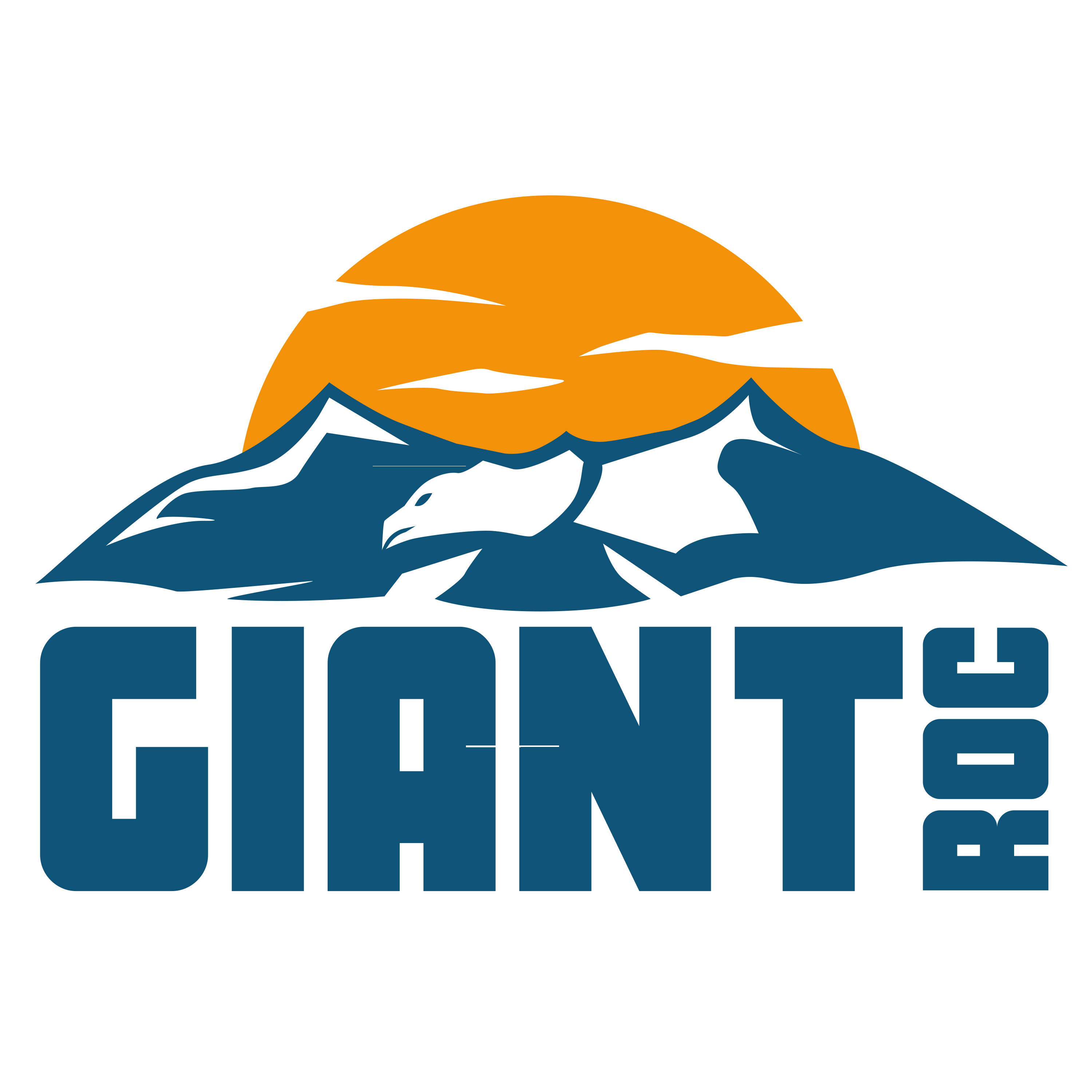 Logo von und Link zu Giant Roc